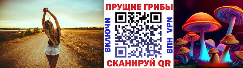Псилоцибиновые грибы Psilocybine cubensis Иноземцево